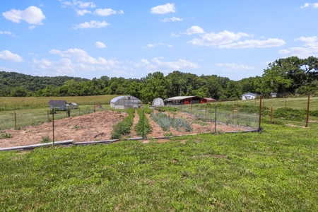 Self Sufficient Farm w/Home, Pasture, Creek & Shop for Sale - image 6