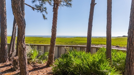 **Oceanview Lot in River Club Neighborhood, Fripp Island** - image 18