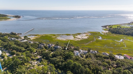 **Oceanview Lot in River Club Neighborhood, Fripp Island** - image 4