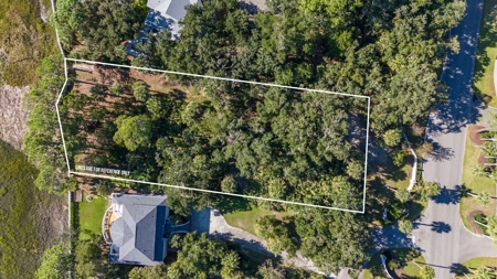 **Oceanview Lot in River Club Neighborhood, Fripp Island** - image 1