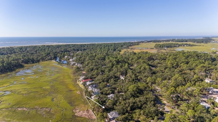 **Oceanview Lot in River Club Neighborhood, Fripp Island** - image 11