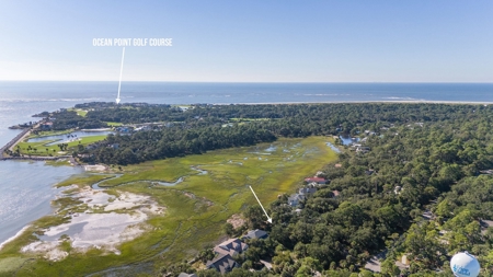 **Oceanview Lot in River Club Neighborhood, Fripp Island** - image 12