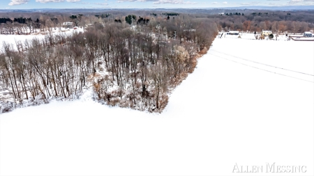 Exceptional 59+/- Acre Tract in Galesburg MI - image 6