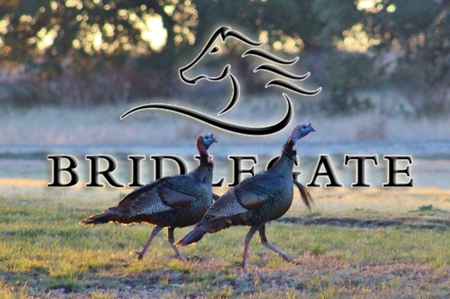 Rare Riverfront 3.28 Acre lot - image 24