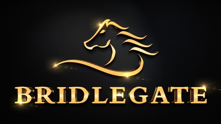 Rare Riverfront 3.28 Acre lot - image 11