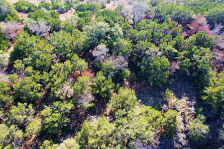 Rare Riverfront 3.28 Acre lot - image 5