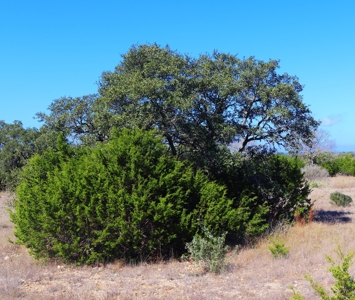 Rare Riverfront 3.28 Acre lot - image 7