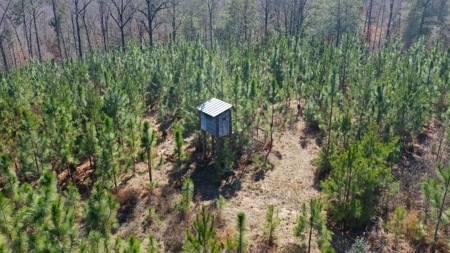 445 Acre Hunting/Timber Tract in Butler County, Alabama - image 26