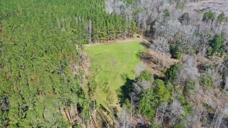 445 Acre Hunting/Timber Tract in Butler County, Alabama - image 10