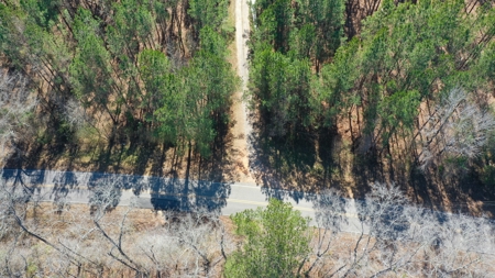 445 Acre Hunting/Timber Tract in Butler County, Alabama - image 8