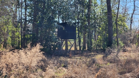 445 Acre Hunting/Timber Tract in Butler County, Alabama - image 29