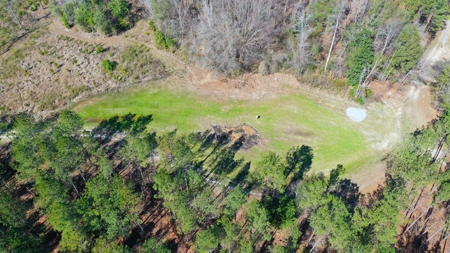 445 Acre Hunting/Timber Tract in Butler County, Alabama - image 3