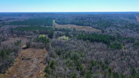 445 Acre Hunting/Timber Tract in Butler County, Alabama - image 7