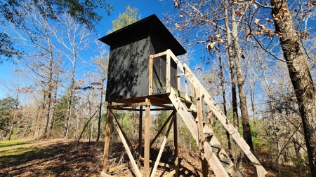 445 Acre Hunting/Timber Tract in Butler County, Alabama - image 38
