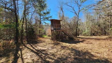 445 Acre Hunting/Timber Tract in Butler County, Alabama - image 34