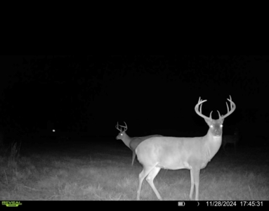 445 Acre Hunting/Timber Tract in Butler County, Alabama - image 46