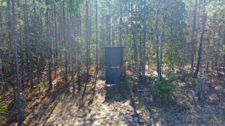 445 Acre Hunting/Timber Tract in Butler County, Alabama - image 17