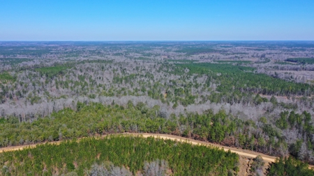 445 Acre Hunting/Timber Tract in Butler County, Alabama - image 20