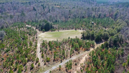 445 Acre Hunting/Timber Tract in Butler County, Alabama - image 25