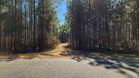445 Acre Hunting/Timber Tract in Butler County, Alabama - image 27