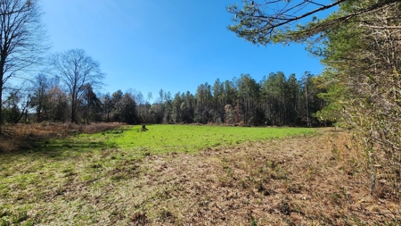445 Acre Hunting/Timber Tract in Butler County, Alabama - image 28