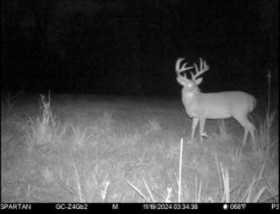 445 Acre Hunting/Timber Tract in Butler County, Alabama - image 41