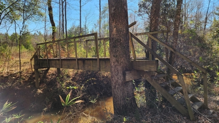 445 Acre Hunting/Timber Tract in Butler County, Alabama - image 32