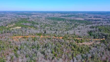 445 Acre Hunting/Timber Tract in Butler County, Alabama - image 21