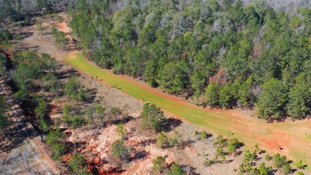 445 Acre Hunting/Timber Tract in Butler County, Alabama - image 23