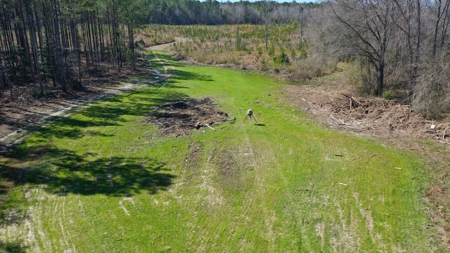 445 Acre Hunting/Timber Tract in Butler County, Alabama - image 2