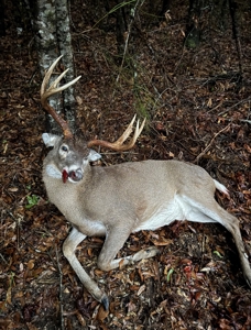 445 Acre Hunting/Timber Tract in Butler County, Alabama - image 44