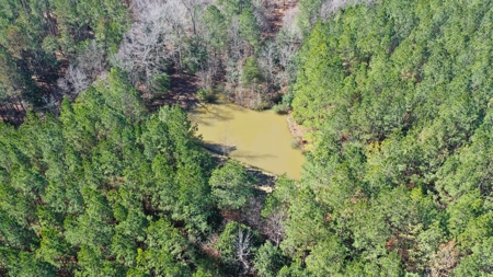 445 Acre Hunting/Timber Tract in Butler County, Alabama - image 14