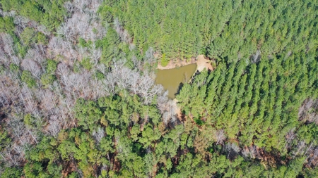 445 Acre Hunting/Timber Tract in Butler County, Alabama - image 13