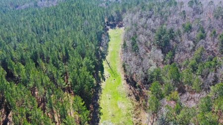 445 Acre Hunting/Timber Tract in Butler County, Alabama - image 18