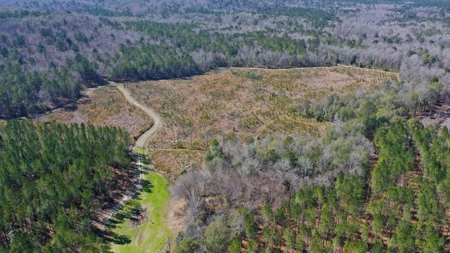 445 Acre Hunting/Timber Tract in Butler County, Alabama - image 5