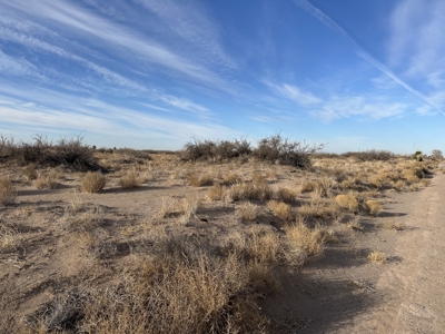 Land for Sale - image 4