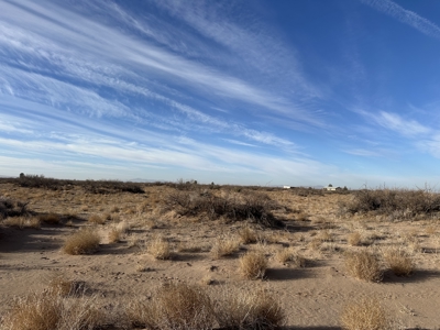 Land for Sale - image 17