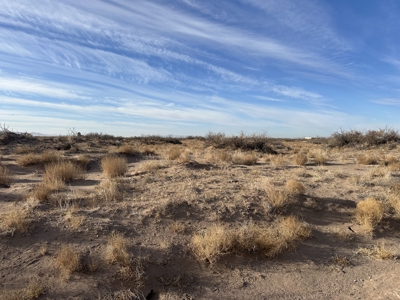 Land for Sale - image 12