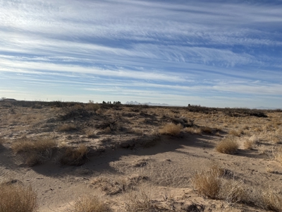 Land for Sale - image 14