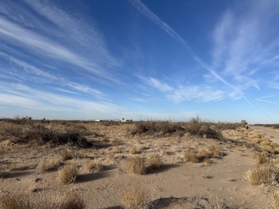 Land for Sale - image 18