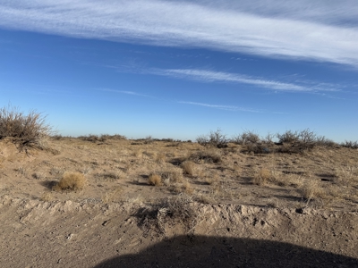 Land for Sale - image 6