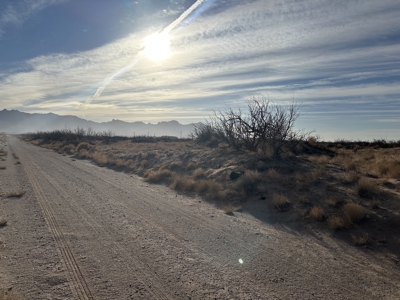 Land for Sale - image 10