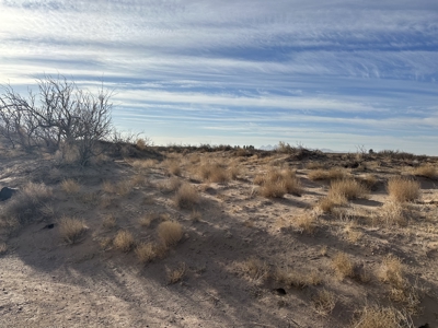 Land for Sale - image 11