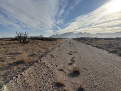 Land for Sale - image 8