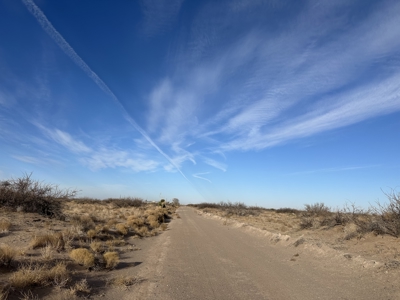 Land for Sale - image 5