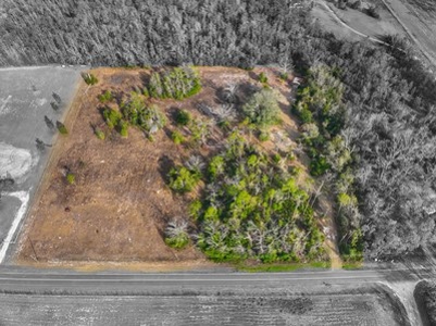 For Sale 10 Acres On Paved Road With Well Septic & Electric - image 1