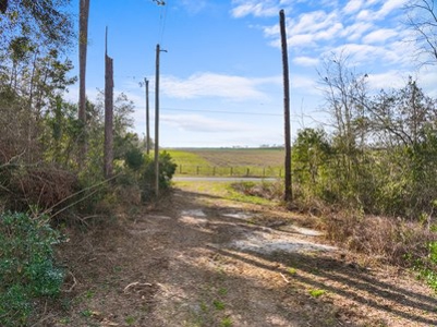 For Sale 10 Acres On Paved Road With Well Septic & Electric - image 12