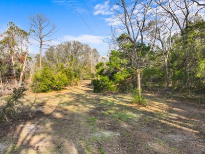 For Sale 10 Acres On Paved Road With Well Septic & Electric - image 5