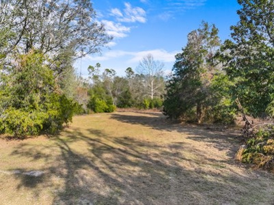 For Sale 10 Acres On Paved Road With Well Septic & Electric - image 6