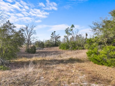 For Sale 10 Acres On Paved Road With Well Septic & Electric - image 9